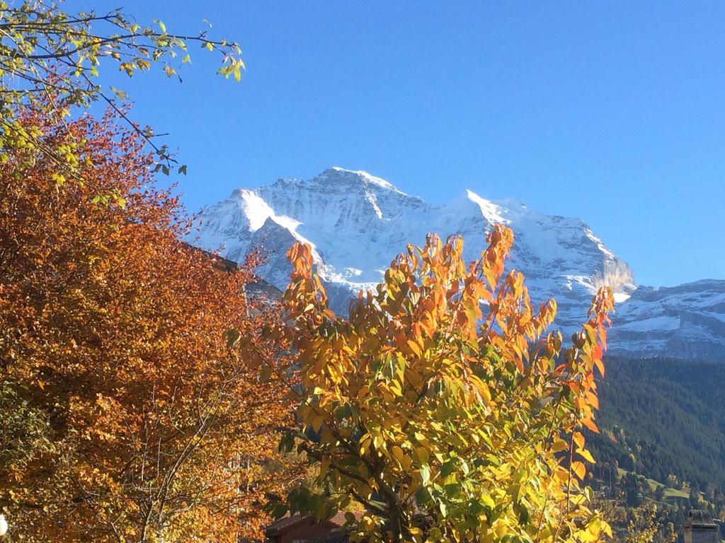 Chalet Protea Wengen Bilik gambar