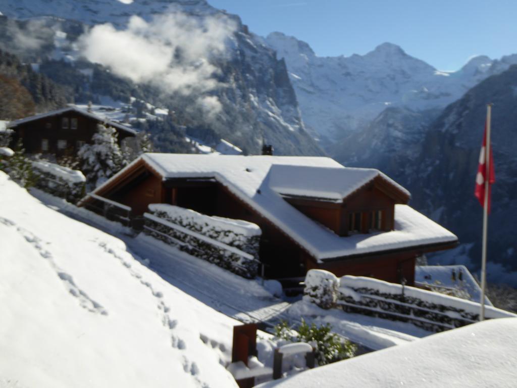 Chalet Protea Wengen Luaran gambar